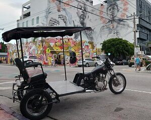 Wynwood Art tour in Miami's only TucTuc