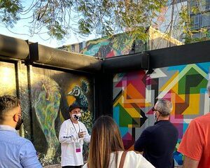Wynwood Walls Official Tour