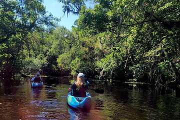 Old Florida Backwater Kayak Tour
