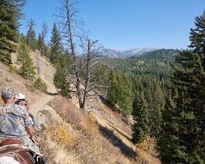 Save 5.01%! Bridger-Teton Horseback Trail Rides