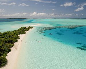Bahamas Day Cruise to Bimni