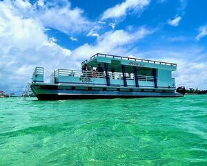 FAMOUS Destin Dolphin Cruise & Crab Island Sandbar