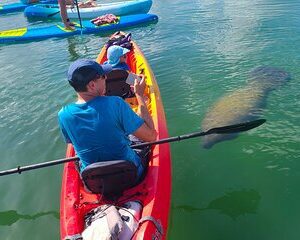 Mangroves, Manatees, and a Hidden Beach: Kayak Tour