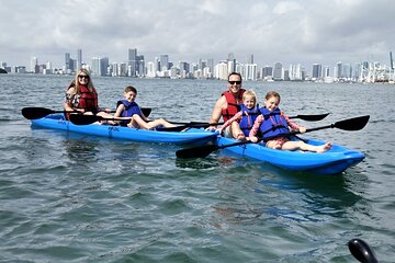 Miami Manatee Season Guided Paddle Tour from Virginia Beach
