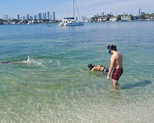 Miami: Snorkeling for Beginners Private Tour