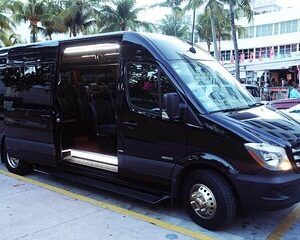 Port of Miami & MIA Airport Transportation with 3 Hrs. City Tour