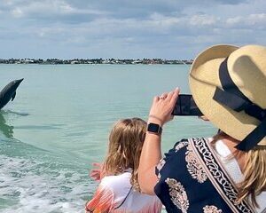 Save 11.00%! Wild Dolphin Boat Tour