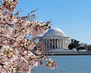 Save 16.00%! Private Washington DC Grand Tour with Hotel Pick-Up