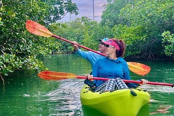 Save! Key West Kayak Eco Tour | An Eco-Friendly Adventure Awaits!