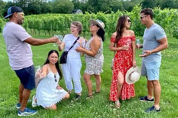Save 10.00%! Exclusive Virginia Wine Country Day Trip Tour