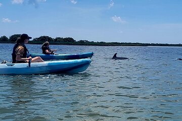 Save 17.00%! Deluxe Dolphin Kayak Tour