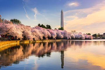 Save 20.00%! 4 Hours Private Tour in Washington DC