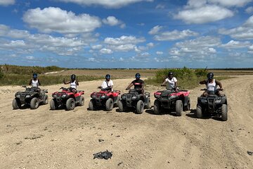 Save 20.01%! Private 305 Off-Roading Tour in Everglades National Park