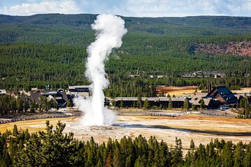 Yellowstone: Private Guided Tour