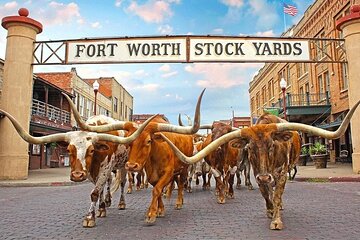 Save 15.00%! Fort Worth Highlights & Southfork Ranch Combo Tour