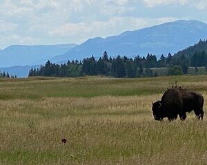 2-Person Grand Teton All-Day Private Tour