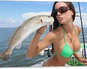 6 Hour Fishing Charter in Sarasota Siesta Key and Bradenton