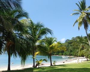 Day tour to the Caribbean: Grande Island and Portobelo