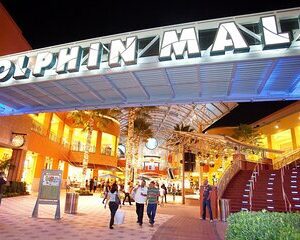 Discover Miami: Complete Full-Day Tour & Dolphin Mall Shopping