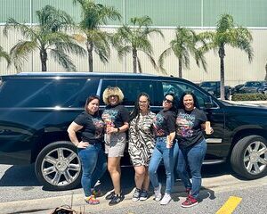Disney Hotels Private Van Transfer to/from Orlando Intl Airport