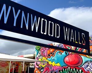 Explore in the Vibrant Art Scene of Wynwood Art Private Tour