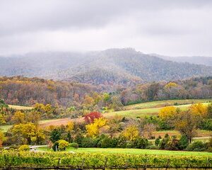 Full-Day Private Virginia Wine Tour Experience from Washington