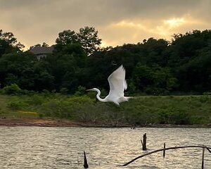Grapevine Lake Kayak Eco Tour