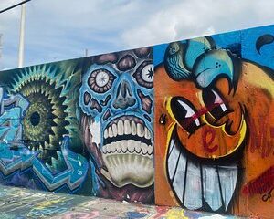 Little Havana and Wynwood Walls District Guided Tour