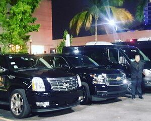 Luxury transportation, tours, personal, groups executives.Affordable prices.