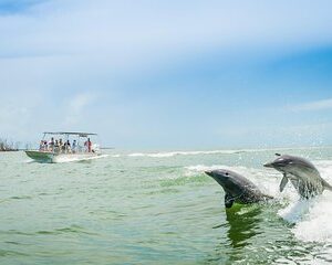 Marco Island Dolphin Sightseeing Tour