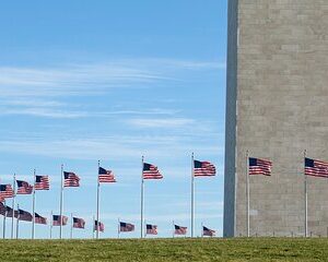 Mt. Vernon Full Day Tour with Guide