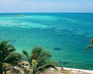 Private Key West Tour in a Small Group From Miami