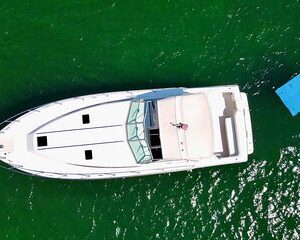 Private Yacht Rental Miami, Customizable Tours, Dolphin Watching