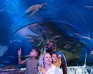 SEA LIFE Aquarium Grapevine Admission Ticket