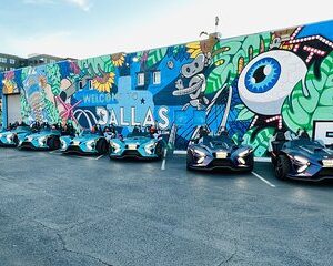 Slingshot Rental (Dallas - Fort Worth Metroplex)