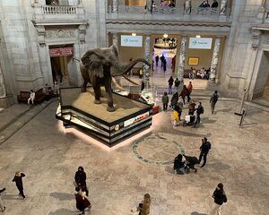 Smithsonian National Museum of Natural History with Guided Tour