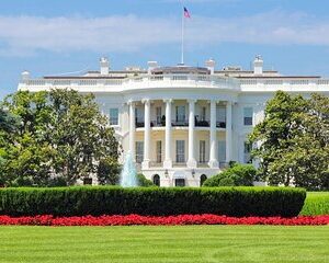 Washington : Private Custom Walking Tour With A Guide (Private)