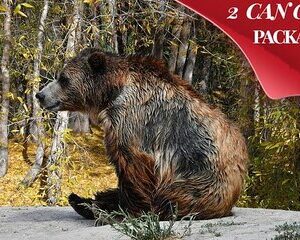 Yellowstone, Grand Teton, and Hot Springs: Small Group 5-Day Tour
