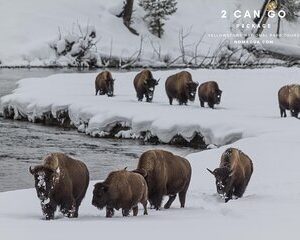 Yellowstone, Grand Teton,& Grand Circle Adventure: 7 Parks 9 Days