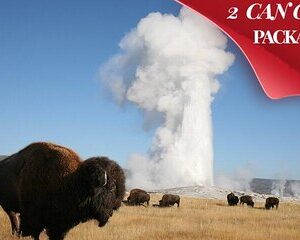 Yellowstone & Grand Teton National Parks: Small Group 4-Day Tour