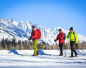 4 Hour Beginner Cross Country Skiing in Grand Teton