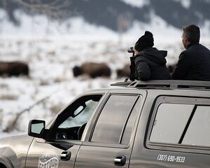 8 Hour Combination Snowshoe & Wildlife Viewing in Grand Teton National Park