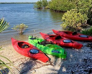 Indian River Lagoon Preserve Kayak Tour