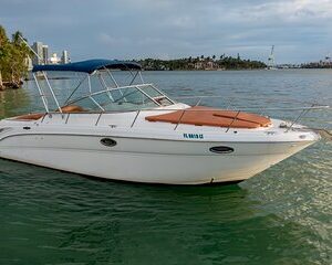 Jet Boat Ride in Miami's Biscayne Bay