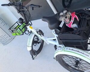 Bike Ride Through Ponte Vedra Beach Private Tour Florida