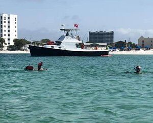 Destin: Private Snorkel/Shelling/Eco Excursion for Up to 28