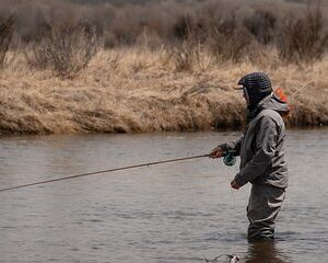Full Day Guided Private Walk Wade Fly Fishing at Jackson Hole