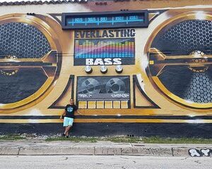 Miami's Top Bus and Citywalk Tour