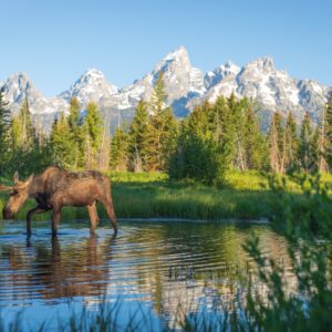 Private 8-Hour Grand Teton Adventure