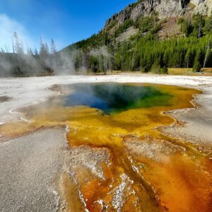 Yellowstone Lower Loop Full-Day Tour